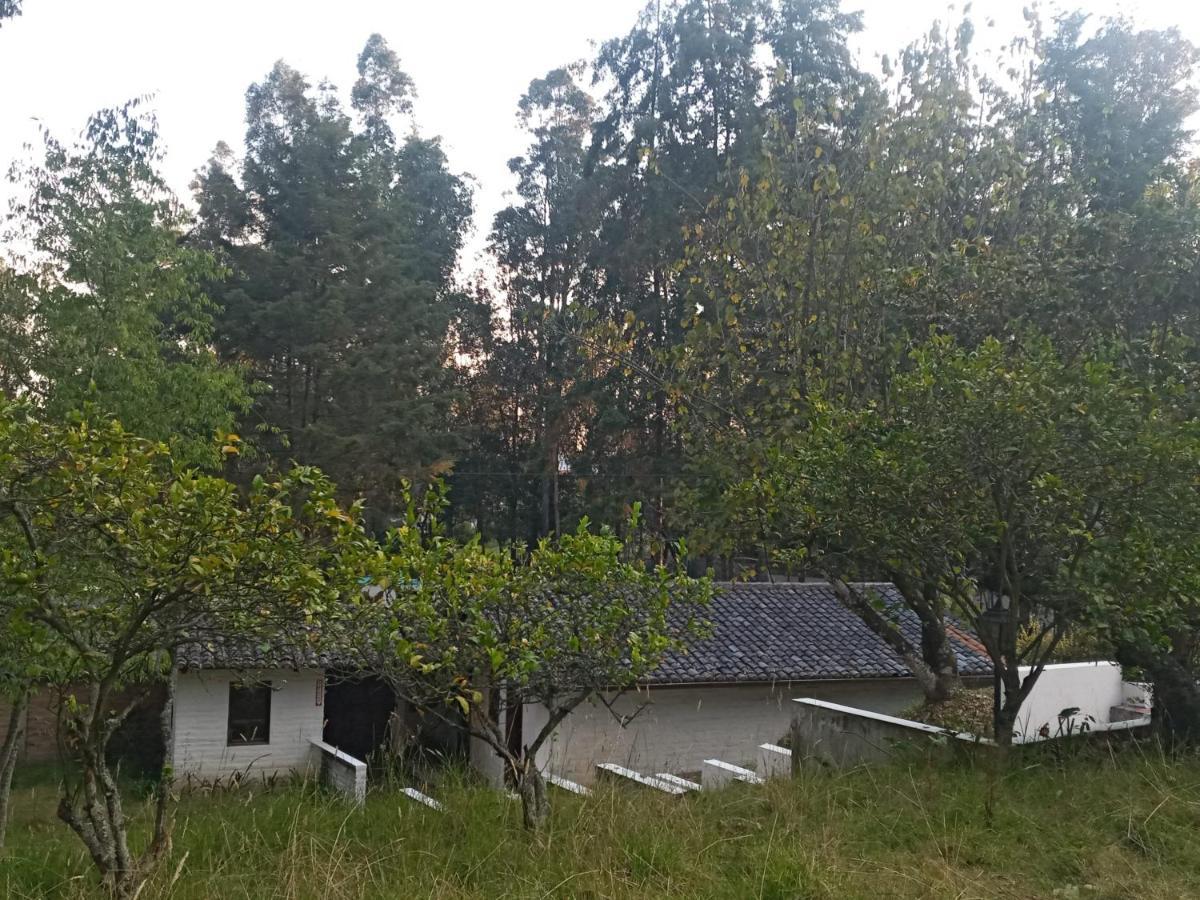 Hotel Quinta Los Eucaliptos Quito Exteriér fotografie